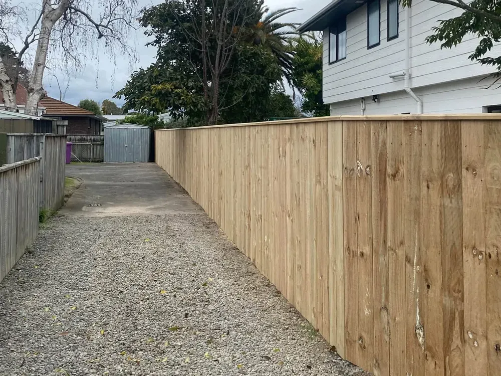 New timber paling fence along a driveway, Palmerston North
