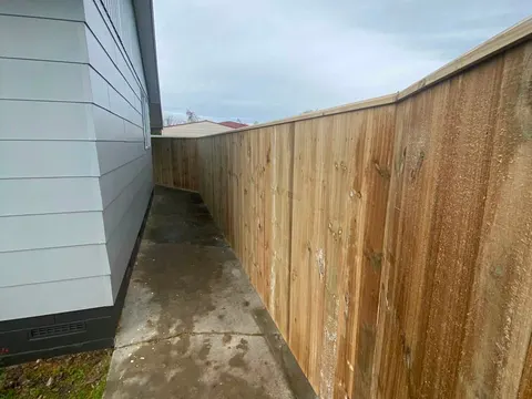 Tall timber fence along a narrow side path, Palmerston North